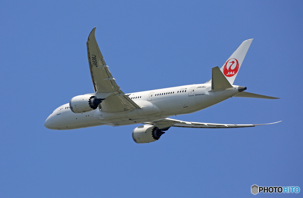 ☀「青い空」が一番 JAL 787-8 JA838J