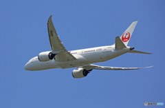 ☀「青い空」が一番 JAL 787-8 JA838J