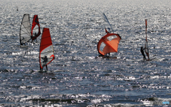 「Blue」ウイングサーフィン /  ウインドサーフィン