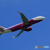 「Blue」peach A320-214 JA802P Takeoff 