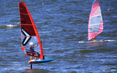 「すかい」　どうぞこのままでぇ〜