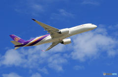 ☀「青い空」が一番 THAI A350-941 HS-THG