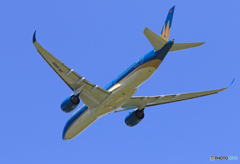 「すかい」 Vietnam A350-941 VN-A390 飛ぶ