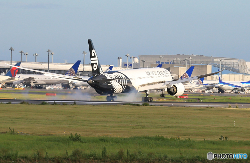 「SKY」 Air NZ' 787-9 ZK-NZC Landing