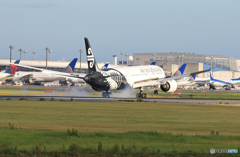 「SKY」 Air NZ' 787-9 ZK-NZC Landing