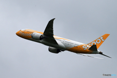 「曇り」sccot 787-8 9V-OFV Takeoff  