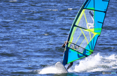 「すかい」Youも観に来ないか