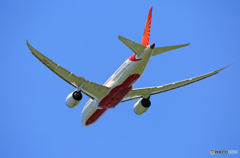 「そらー」 Air India 787-8 VT-ANR 飛行