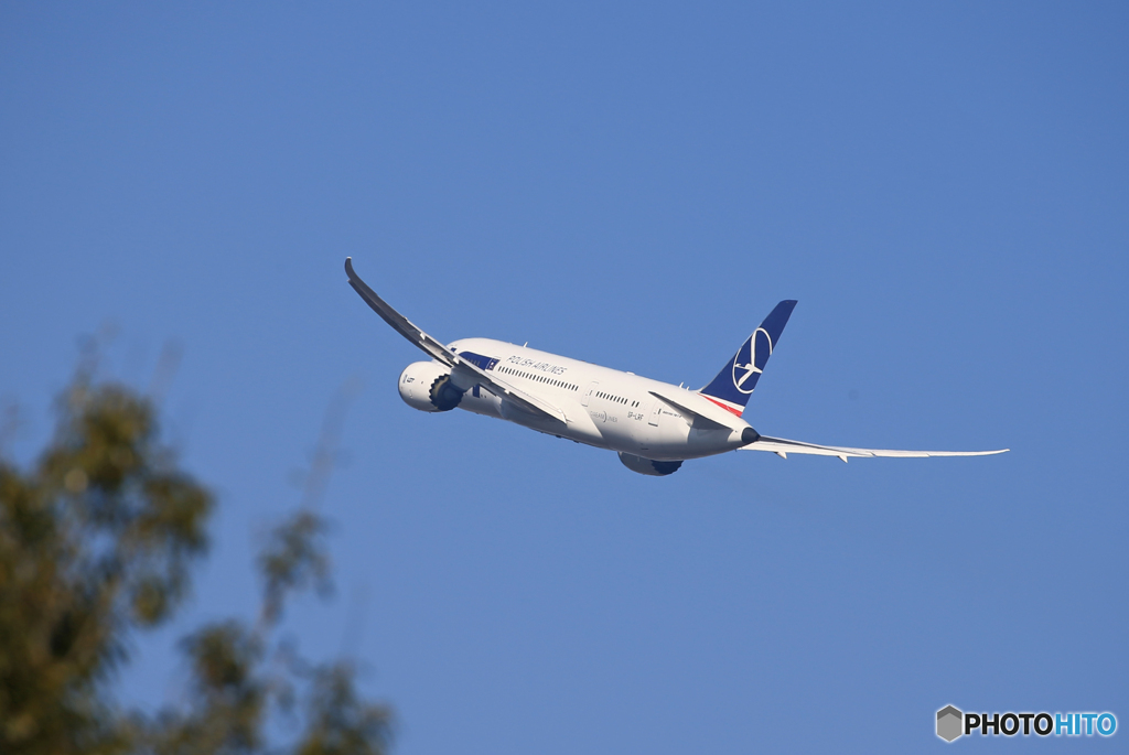 「青い日」LOT 787-8 SP-LRF 出発