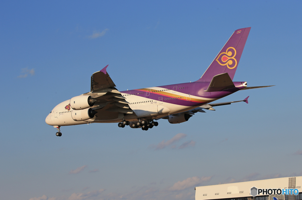 「群青」 Thai A380-841 HS-TUD 飛行