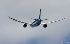 「良い天気」 ANA 787-8 JA822A 離陸