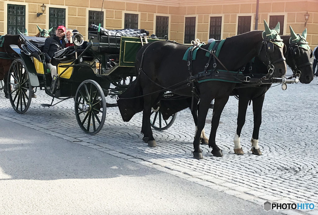 ウイーン （４３４）シェーンブルン宮殿と馬車
