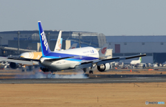 「スカイ」 ANA 767-381 JA608A 着陸します