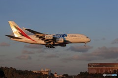 ☀「あおぞら」エミレーツ特別塗装A380 A6-EOF