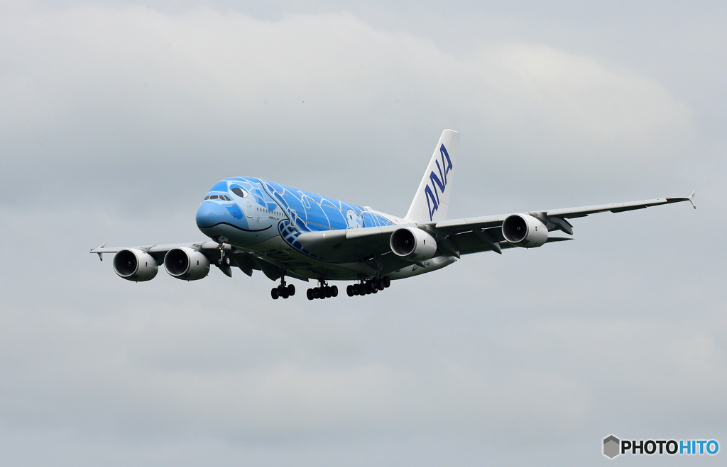 「くもり」 Flying Honu A380-841  Landing
