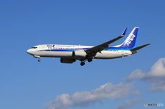「群青色」 ANA 737-881 JA56AN Landing 