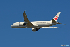「スカイ」 JAL 787-9 JA868J 出発です