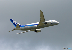 ☀「青い空」が一番 ANA 787-8 JA827A 飛ぶ