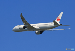 「はれ」 JAL 787-9 JA865J 出発です