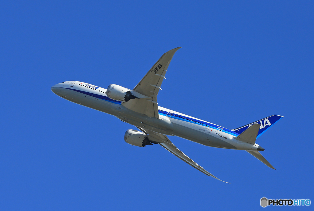 「青色が好き」ANA 787-9 JA888A 飛行