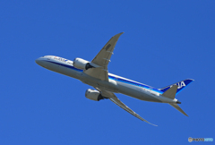 「青色が好き」ANA 787-9 JA888A 飛行