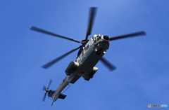 「はれー」特別輸送機　EC-225