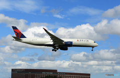 ☀「青い空」が一番 DELTA A350-941 N505DN