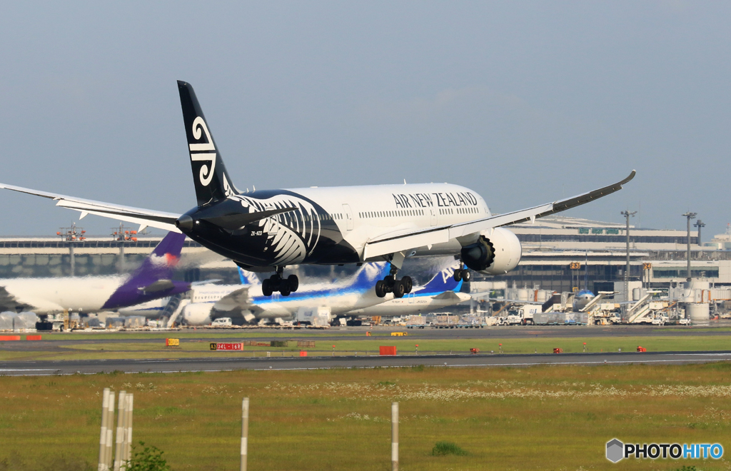 「晴れ」 Air New Zealand B787-9 着陸します