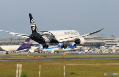 「晴れ」 Air New Zealand B787-9 着陸します