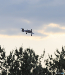 AIRRACE/エアーレース千葉2017