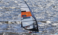 「青が好き」風と共に去りぬ