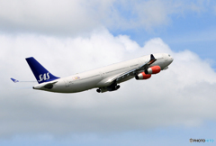 「青色が好き」 SAS A340-313 OY-KBC 飛ぶ