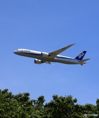☀「青い空」が一番 ANA 787-9 JA891A