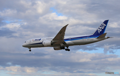 「☁」ANA 787-8 JA805A  着陸 「☁」ANA 787-8 JA805A  着陸
