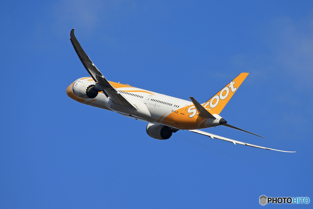 「蒼空」Scoot 787-9 9V-OJD Takeoff