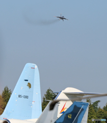 ☮休憩ﾀｲﾑ(538)  尻尾の上を おっとっと‼‼