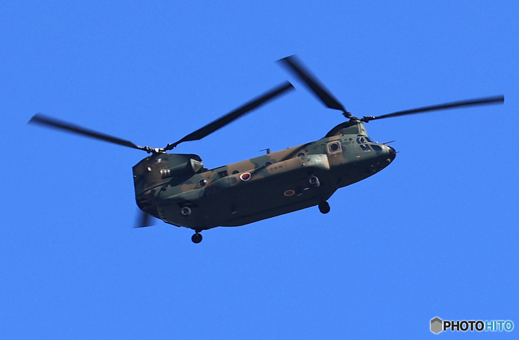 青色が好き」☆ 日本を守る ☆