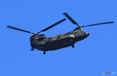 青色が好き」☆ 日本を守る ☆