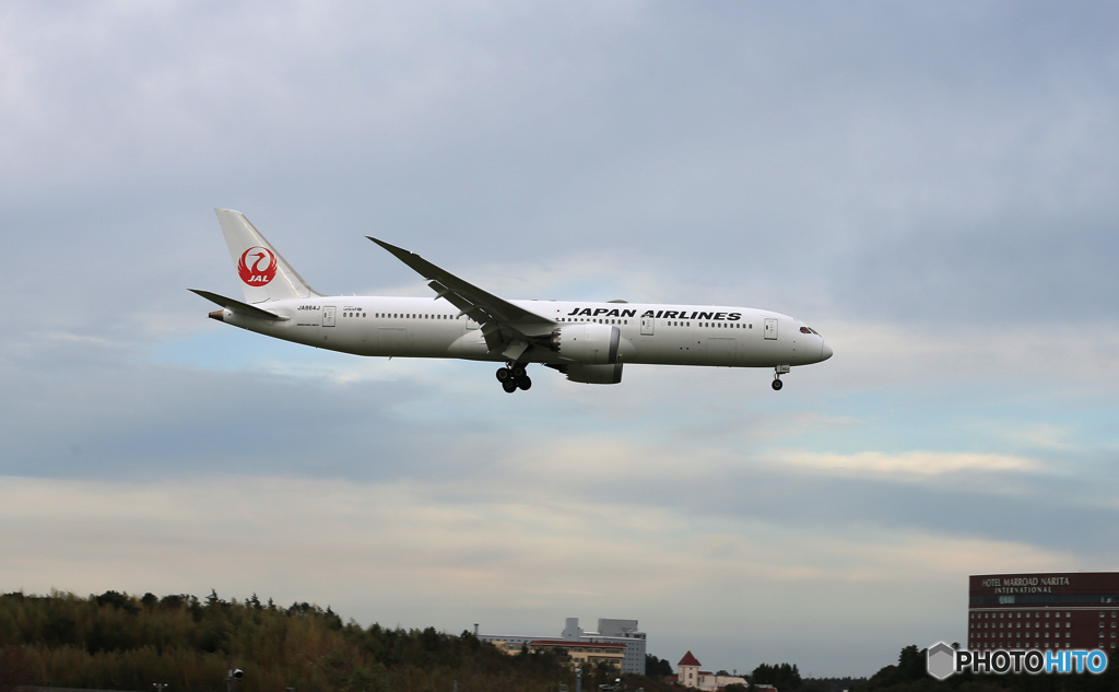 「青」 JAL 787-9 JA864J  Landing