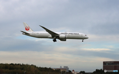 「青」 JAL 787-9 JA864J  Landing