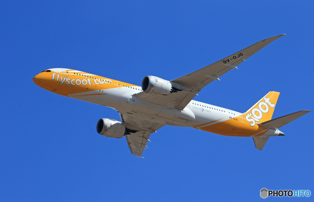 「そらー」 scoot 787-9 9V-OJG Takeoff 
