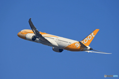 「ブルー」 scoot 787-9 9V-OJF 出発