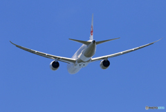 「すかい」 JAL 787-9 JA873J Takeoff 
