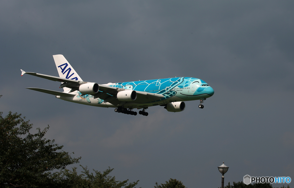 [青い空] Flying Honu2 A380-841 Landing 