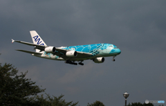 [青い空] Flying Honu2 A380-841 Landing 