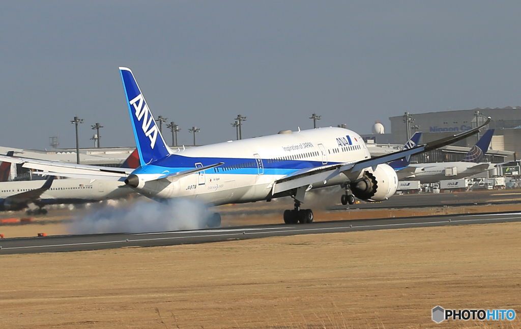 「ブルー」 ANA 787-9 JA871A 到着です