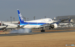 「ブルー」 ANA 787-9 JA871A 到着です