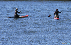 「SKY」スタンドアップボードSUP