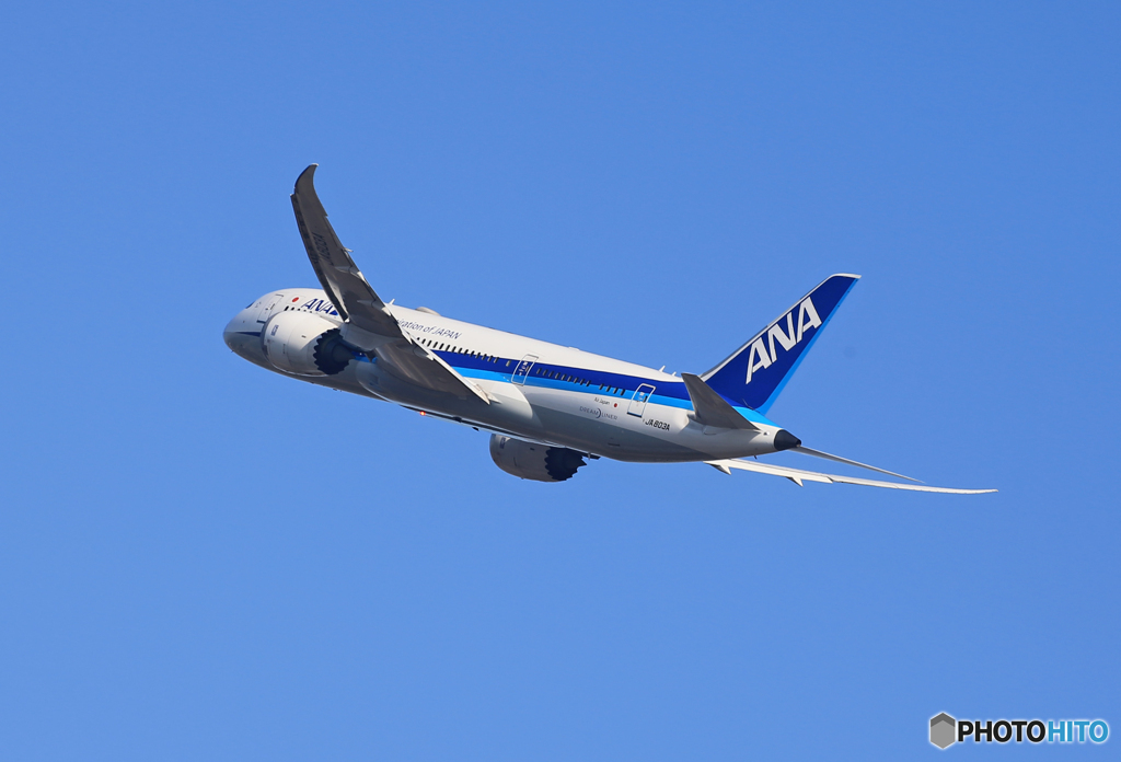 「ブルー」 ANA 787-8 JA803A 出発