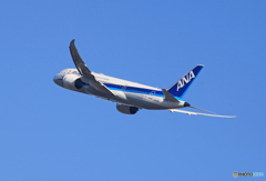 「ブルー」 ANA 787-8 JA803A 出発